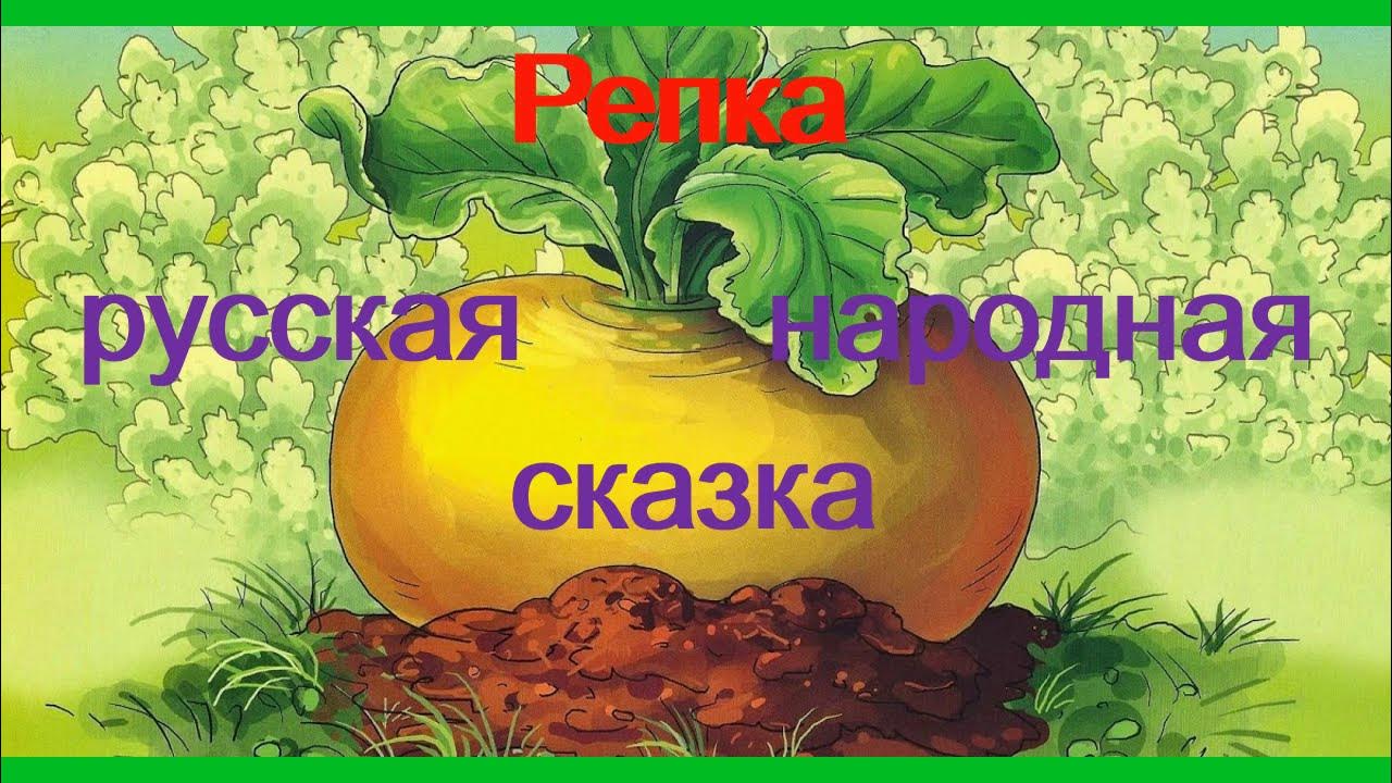 Аудио сказка про репку. Репка. Русская народная сказка. Репка аудиосказка слушать. Репка сказка Советская сказка. Сажают репку.