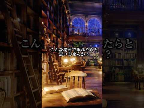 【環境音:ASMR】雨音に包まれて眠る夜の図書館【黒画面・8時間】雨/雷/集中/リラックス/睡眠導入/安眠
