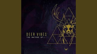 Video thumbnail of "Deer Vibes - Still, Questions"