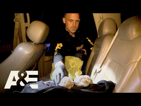 Live PD: Cop Calls w/ Pasco County, FL | A&E