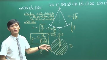 Chu kì, tần số con lắc lò xo và con lắc đơn ( P.2)