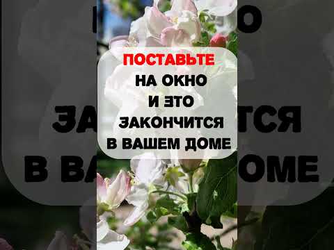 Поставьте На Окно И Это Закончится В Вашем Доме Навсегда Магия Эзотерика Ритуалы Приметы