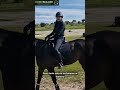 Nutrición y Manejo Práctico en la Yeguada