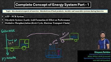 Complete Energy System- ATP- PCr & Glycolytic system,Oxidative Phosphorylation (Aerobic) - By Divyam