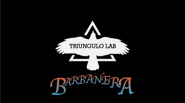 Triungulo Lab Barbanera - Demo || Moog Moogerfooger MF-101 Reissue