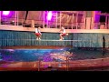 Royal Caribbean Aquatheater Tightrope Jumping Act!