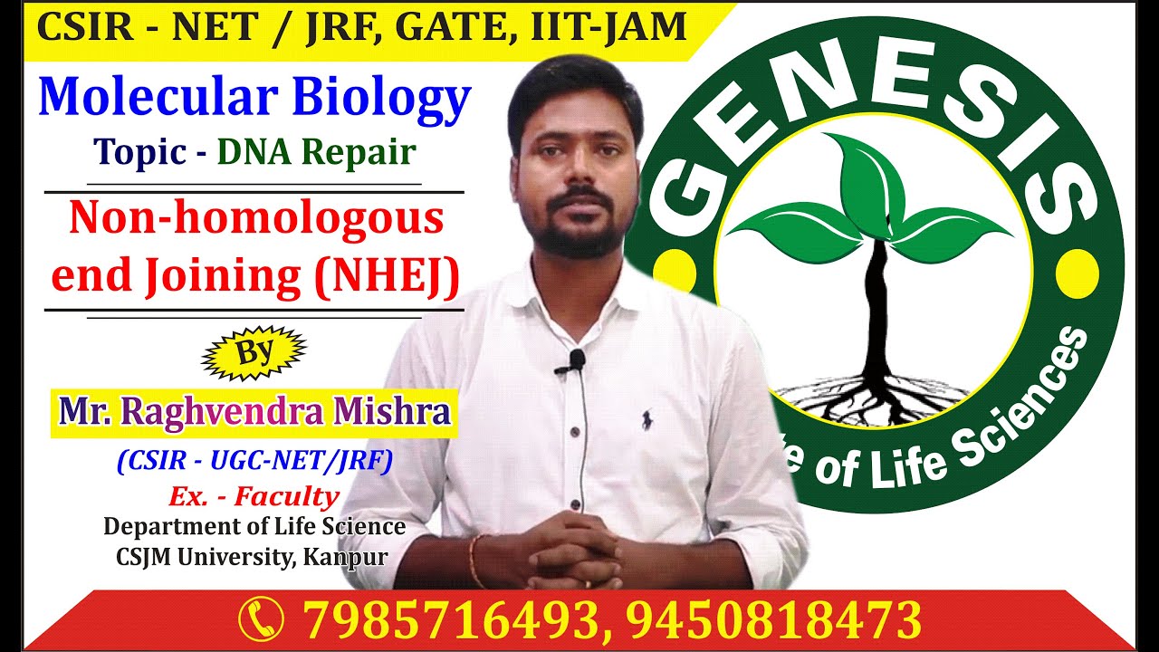 Molecular Biology-DNA Repair, NHEJ, by RAGHVENDRA Sir #CSIR, #JRF, #GATE, #DBT, #ICMR #JNU PhD