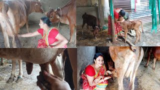 Krishna Sathe Prank Karte Gia Amar Ki Abochta Kalyanivlogs5548 Milking