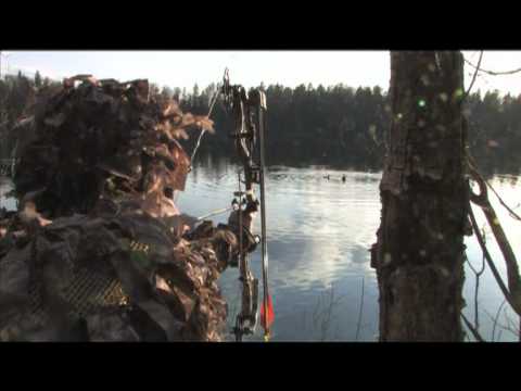 Видео: Охота на утку.VOB