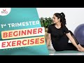 1st trimester pregnancy yoga for beginners  beginner friendly yoga for pregnancy  mylo family