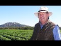 Dale abbott bowen crop monitoring services