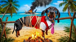 S02Ep05- Puppy Jay's Worst Vacation Ever!