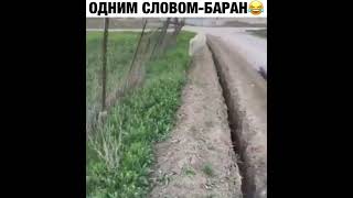 спасение барана