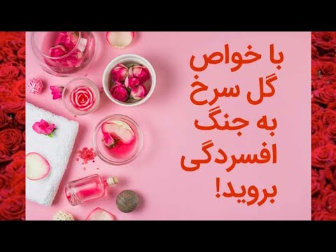 تصویری: گل سرخ: خواص مفید و کاربرد