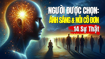 Bí Ẩn Người Được Chọn: Khi Ánh Sáng Gặp Gỡ Nỗi Cô Đơn  | 14 Lý Do Bất Ngờ