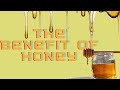 Potential health benefit of honey  honey benefits skincare beautycare