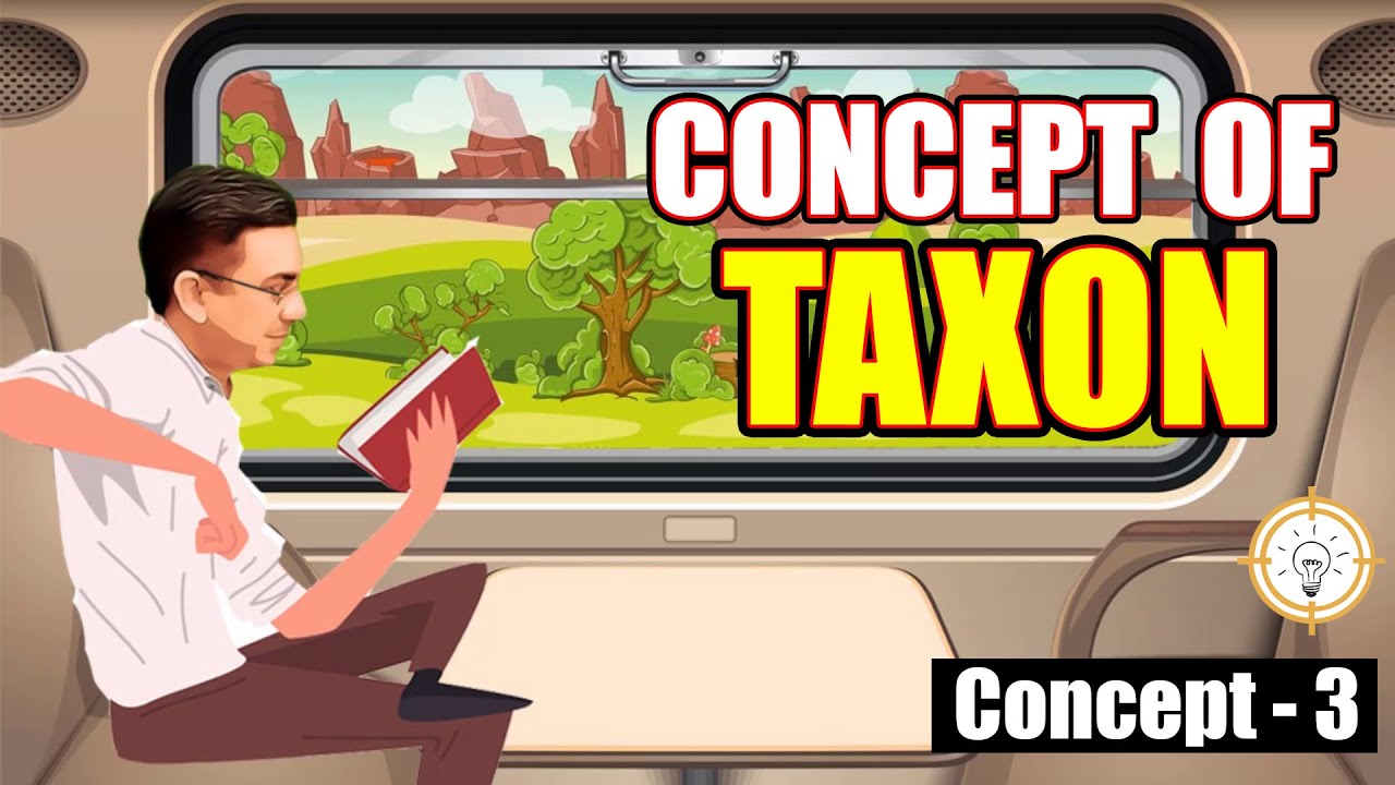 Concept No 3 What Is Taxon Taxonomic Hierarchy Classification Of