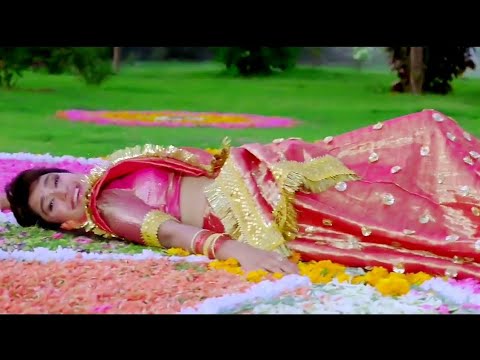 Kya Tumhe Pata Hai Aye Gulshan Love Song Dil Hai Betaab 1993 Udit Narayan