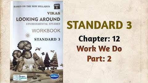 Std-3 EVS | Ch:12 Work We Do | Part 2 | Vikas Workbook Solution | Looking Around | Ncert