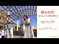 『僕らの花』Shusui & 曽根由希江 @酒々井プレミアム・アウトレット 2017.07.15