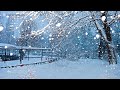 Snow Falling on Snowman with Ambiance Relaxing Piano Music for Smart TV