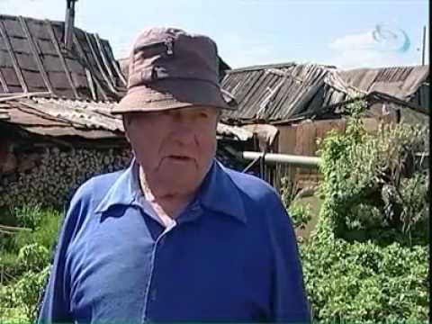 Стадо овец проживает в частном доме