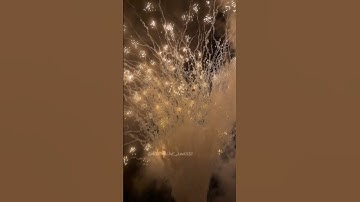 Riakeo new proffesional line Crazy scream to leaves displaycake fireworks 🔥 #viral #vuurwerk #pyro