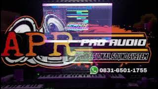 DJ Bongkar bass blayer by APR AUDIO sound system