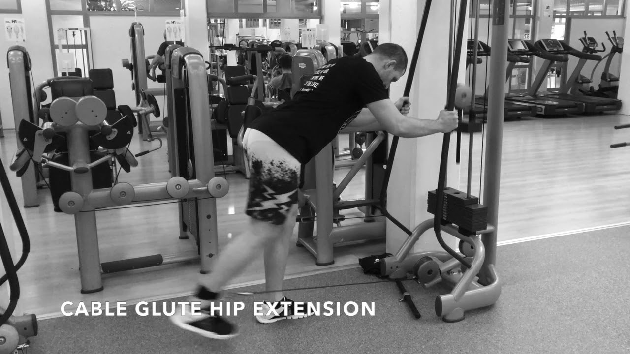cable glute extension monitoring.solarquest.in