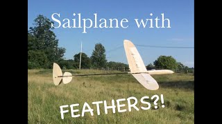 Copying Nature - Feathers On a Glider Wing to Reduce Drag and Soften Stall