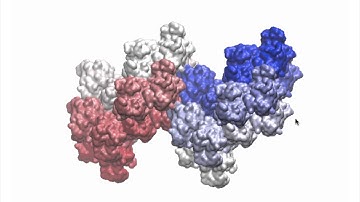 Simulation of Diffuse Scattering -- David Wych (UCI)