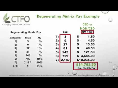 NEW CTFO Compensation Plan - YouTube