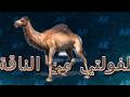 اليرت دعم عربي هو الكبير 