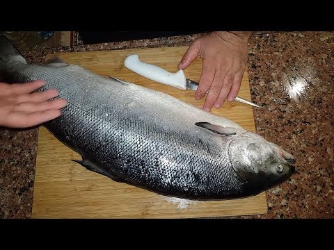 Somon Balığı Fileto nasıl çıkarılır - Making Salmon fillet - Salmon Fishing - KES PİŞİR YE MANGAL