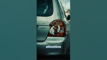 How To Escape A Car Trunk Fast (Life-Saving Guide) 🚗