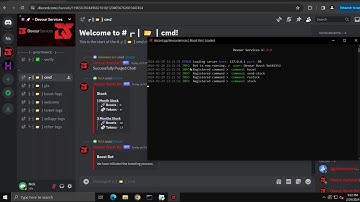 NEW Server Boosting Bot is Insane 2024 | How To Use It