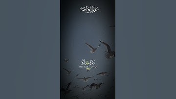 #qurantranslation #لايك #راحة_نفسية قران كريم مكتوب ومقروء ايات بينات من سورة الجمعة