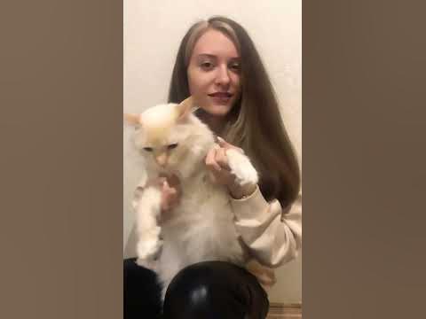 Кот Федя😼 - YouTube