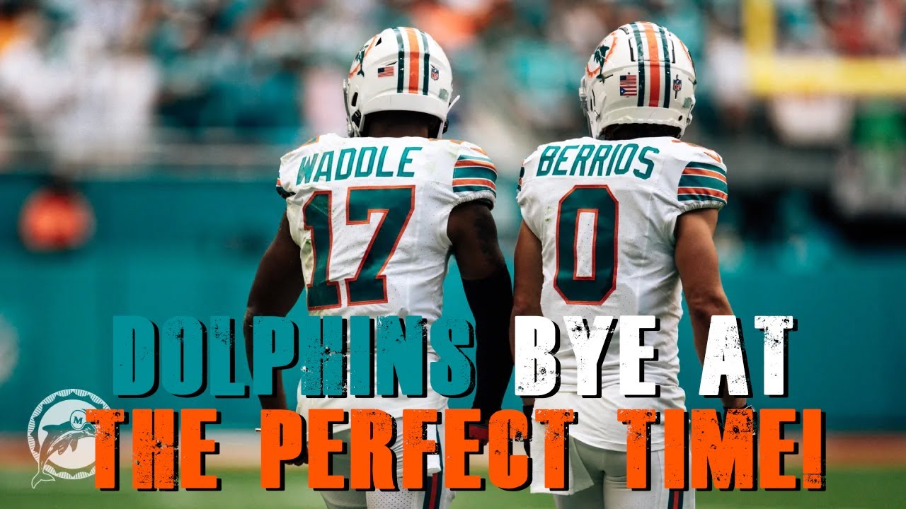 Miami Dolphins Getting Ready After The Bye! YouTube