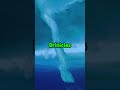 The rarest natural phenomenon!
