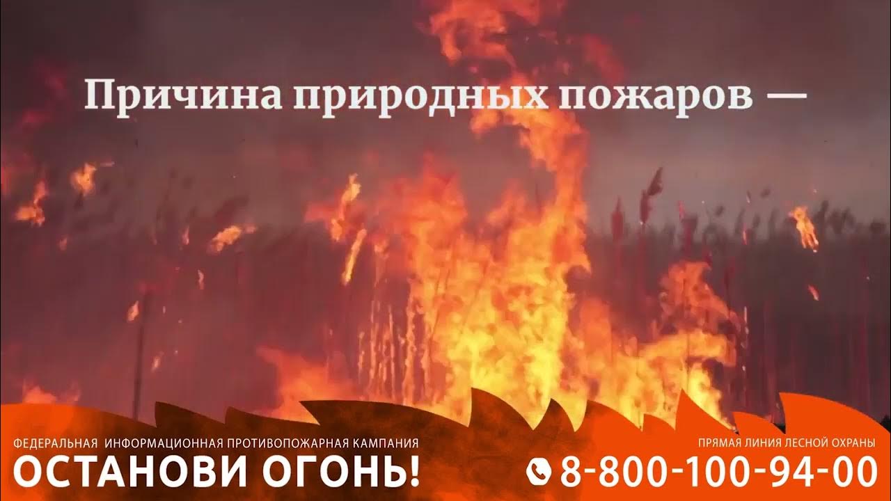 Скупщик прекращение огня информация. Стрельба прекращается самостоятельно. Презентация как люди приручили огонь. Стрельба немедленно прекращается. Прекращение огня.
