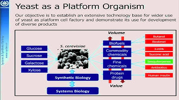 Day 2 Distinguished Lecture by Prof. Jens Nielsen at MF Symposium, Singapore.mp4