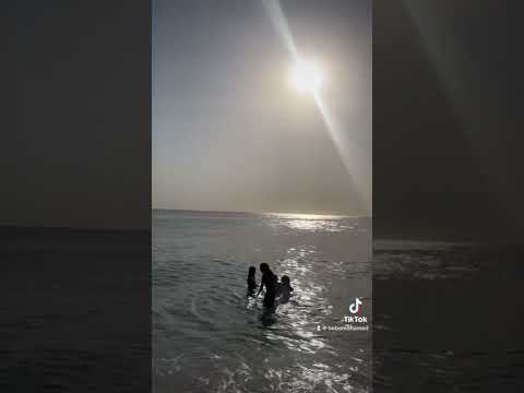 قابلني والاشواق في عنيه سلم