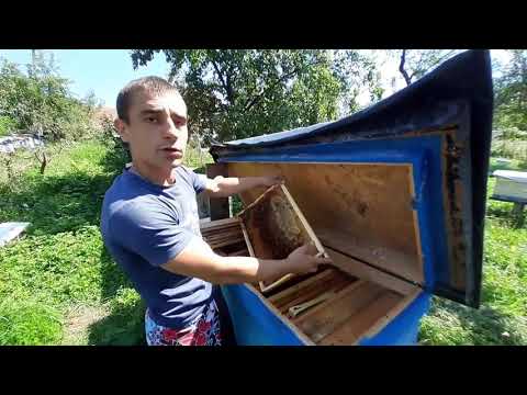 Як правильно підготувати