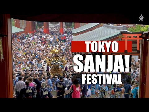 Tokyo’s Sanja Festival 2024 Live Experience | Asakusa Street View