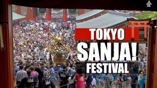 Tokyo’s Sanja Festival 2024 Live Experience | Asakusa Street View