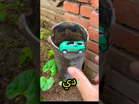 انا همسك العربيه الحمره يوووه وقعت