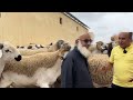 ضيعة الحاج عبد الله نحيلي تحدد الأسعار و تحارب غلاء أكباش عيد الأضحى 2026
