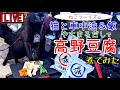 【猫と車中泊】高野豆腐を煮る【やすまるだし公式アンバサダー】