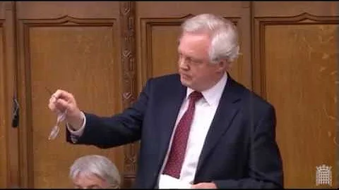 David Davis: ‘The EU is slow and ineffective at negotiating trade deals’